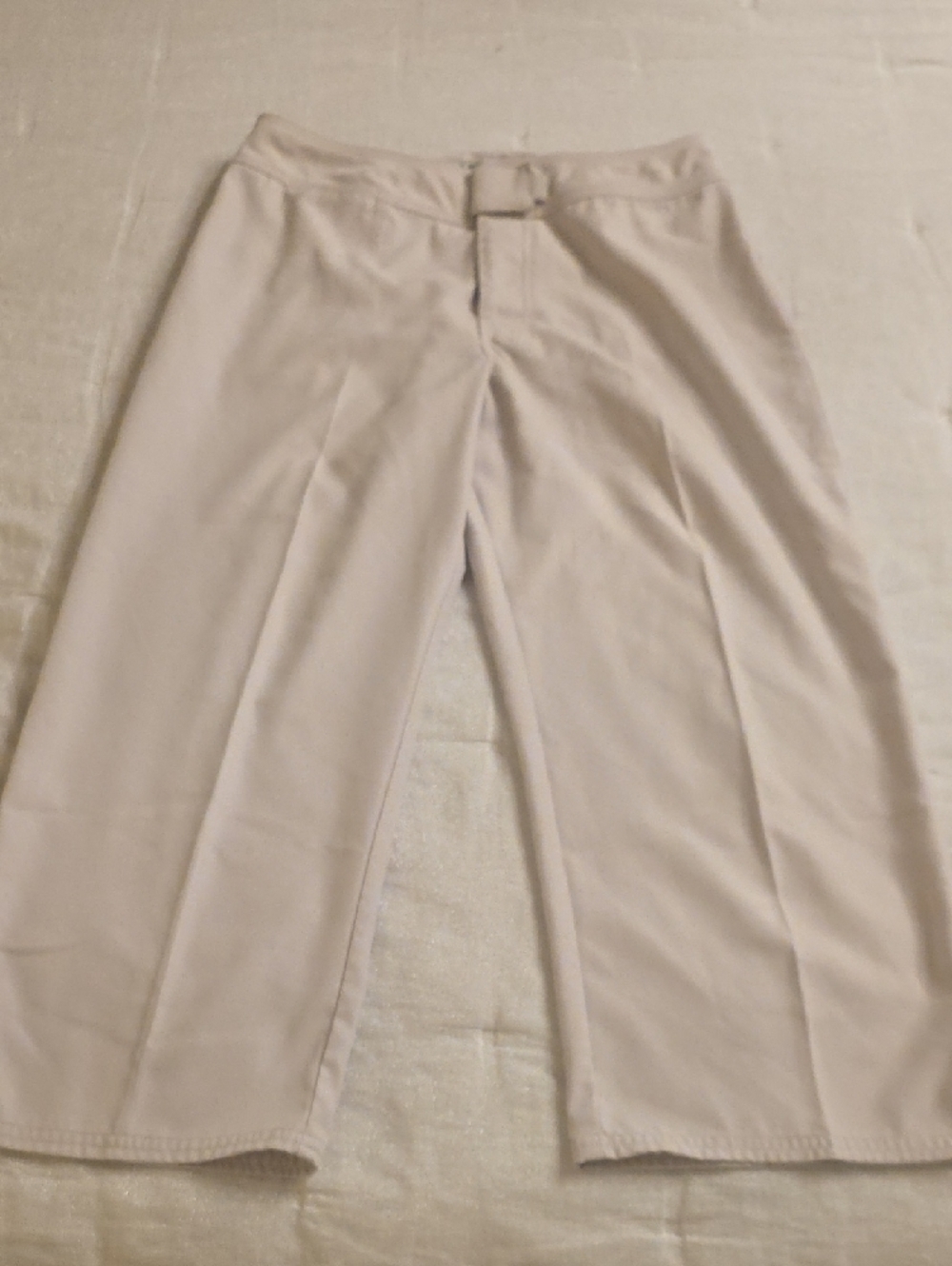 Patagonia Women's Pathaloha Cropped Pants in Light Beige Size 6